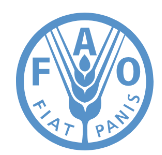 Logo fao