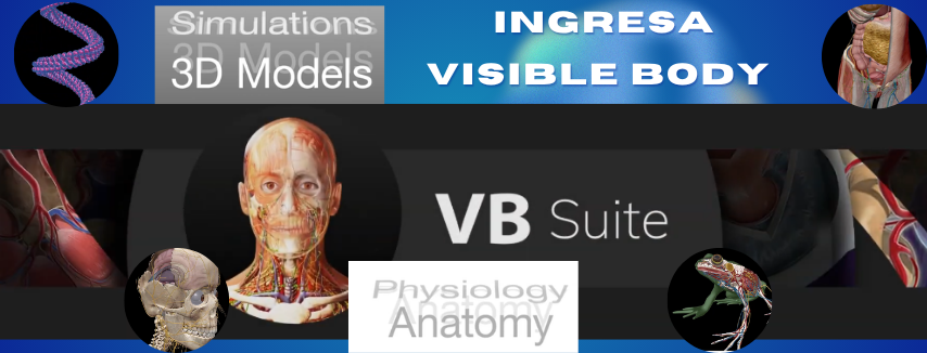 Visible body suite